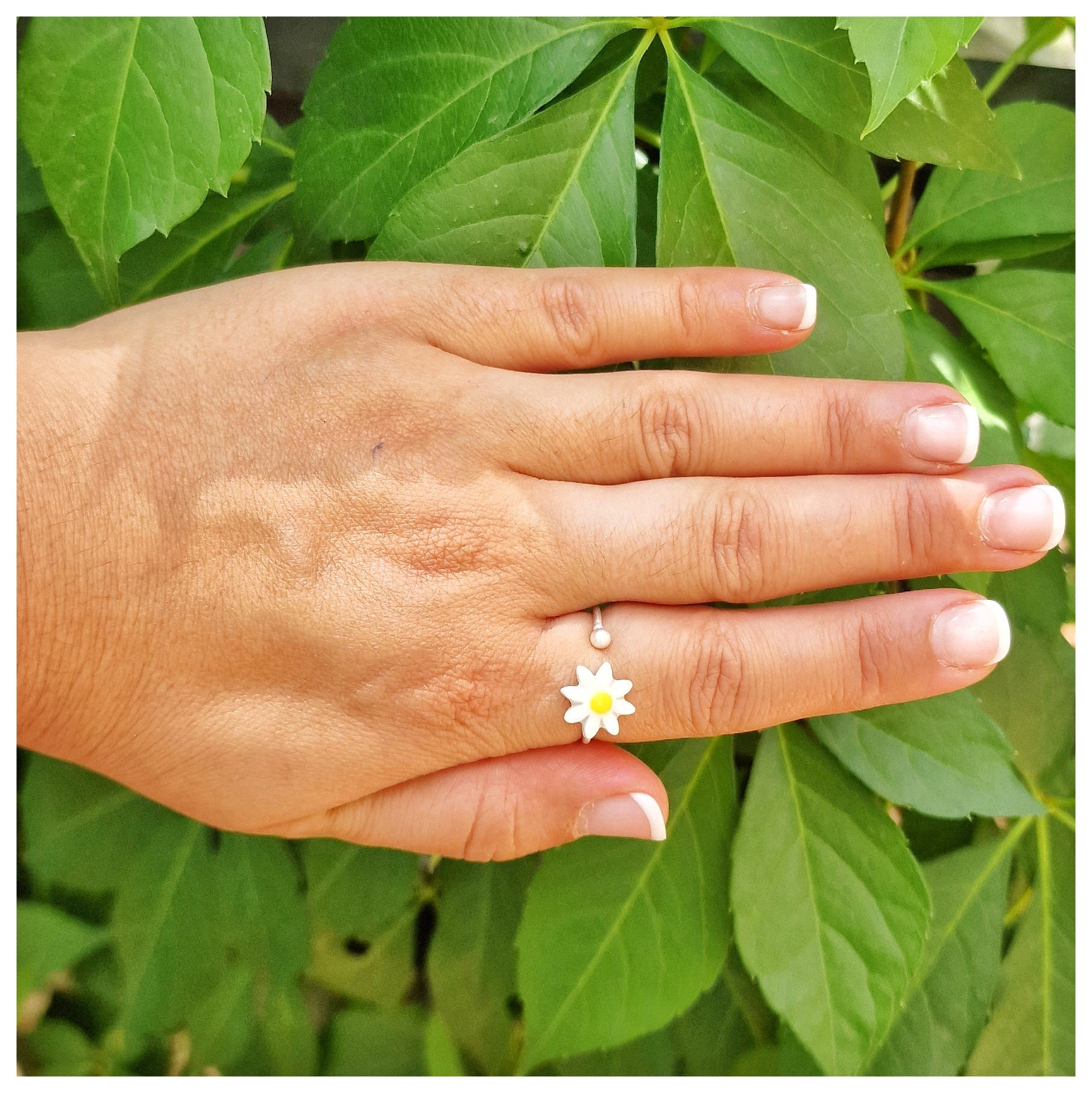 Anillos margaritas